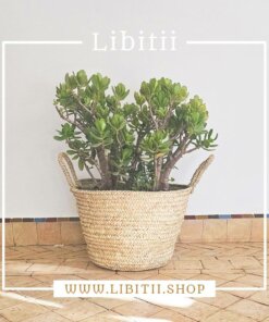 Palm Leaf Woven Basket 4